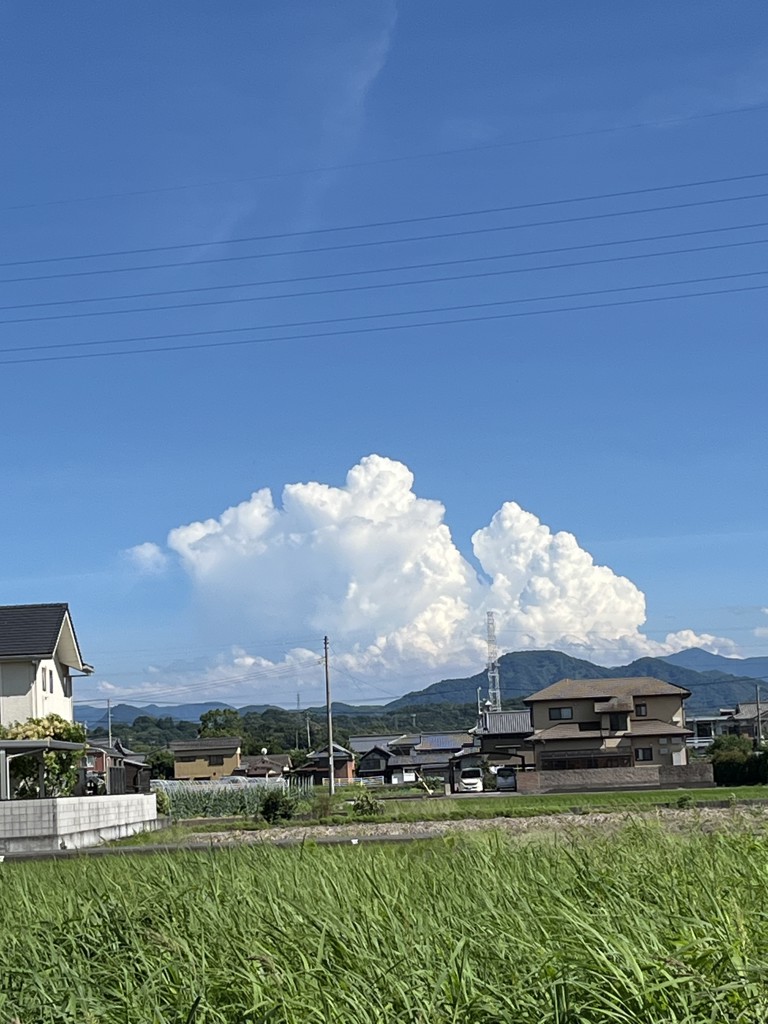 799/10/DS（114000125）|商品詳細|フェリージ 公式オンラインショップ