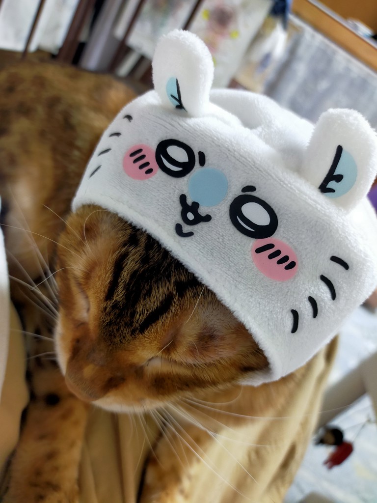 ゆうちゃん