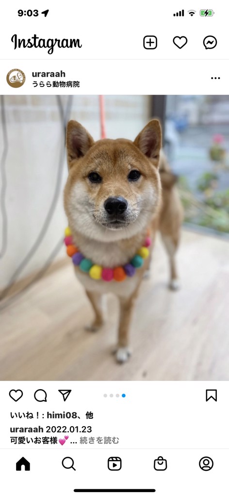 ユーザーアイコン