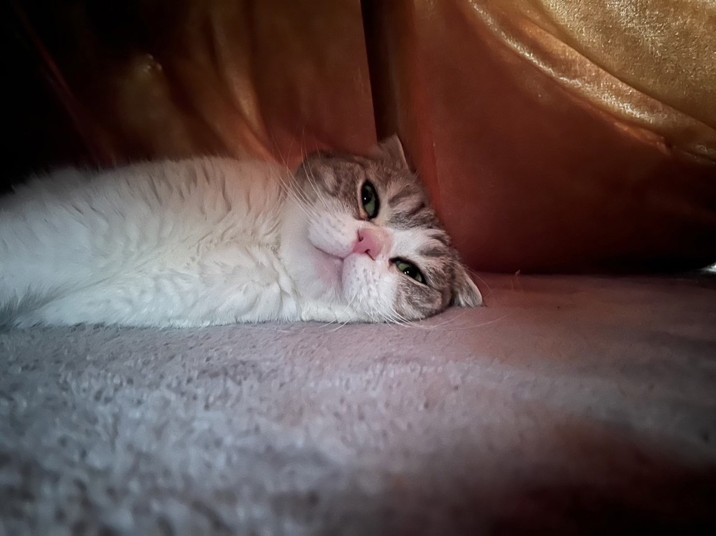 no name
