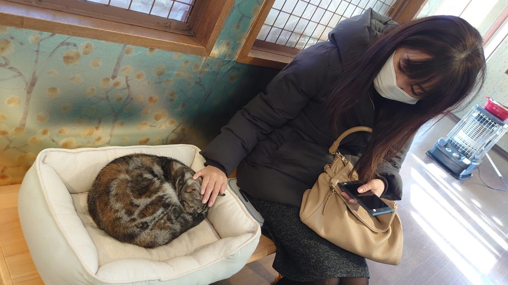コリ