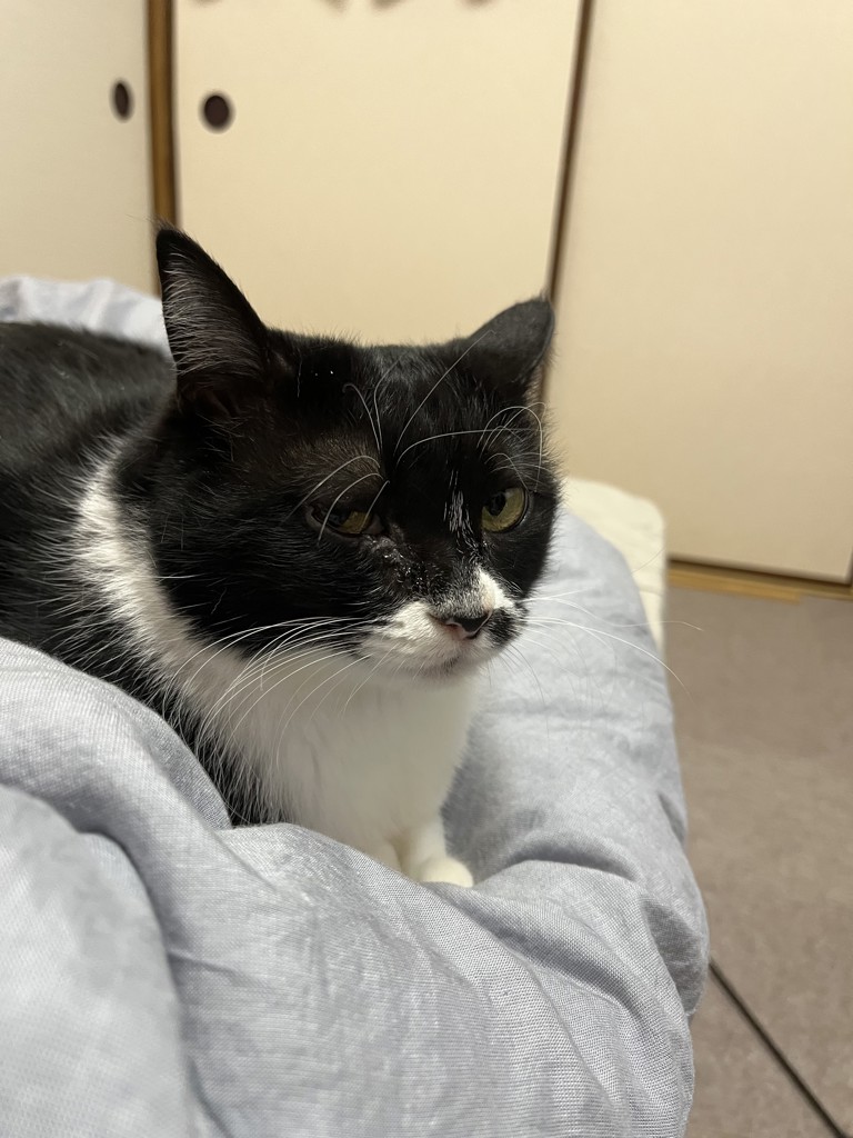 ユーザーアイコン