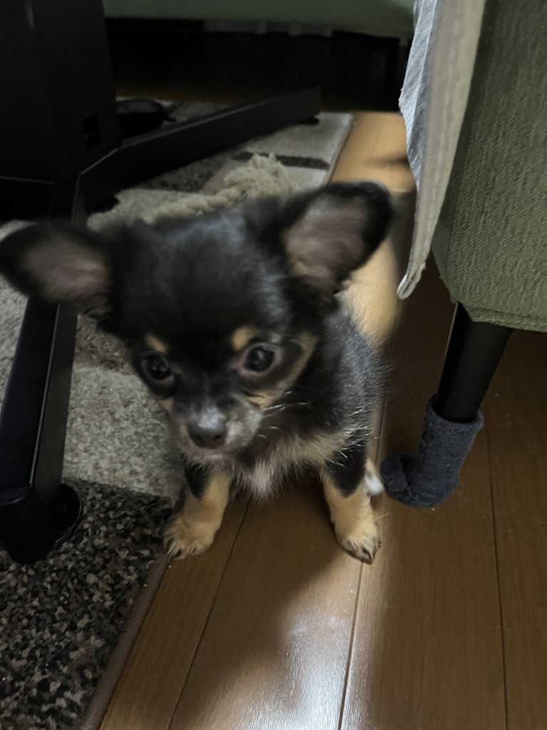 ユーザーアイコン
