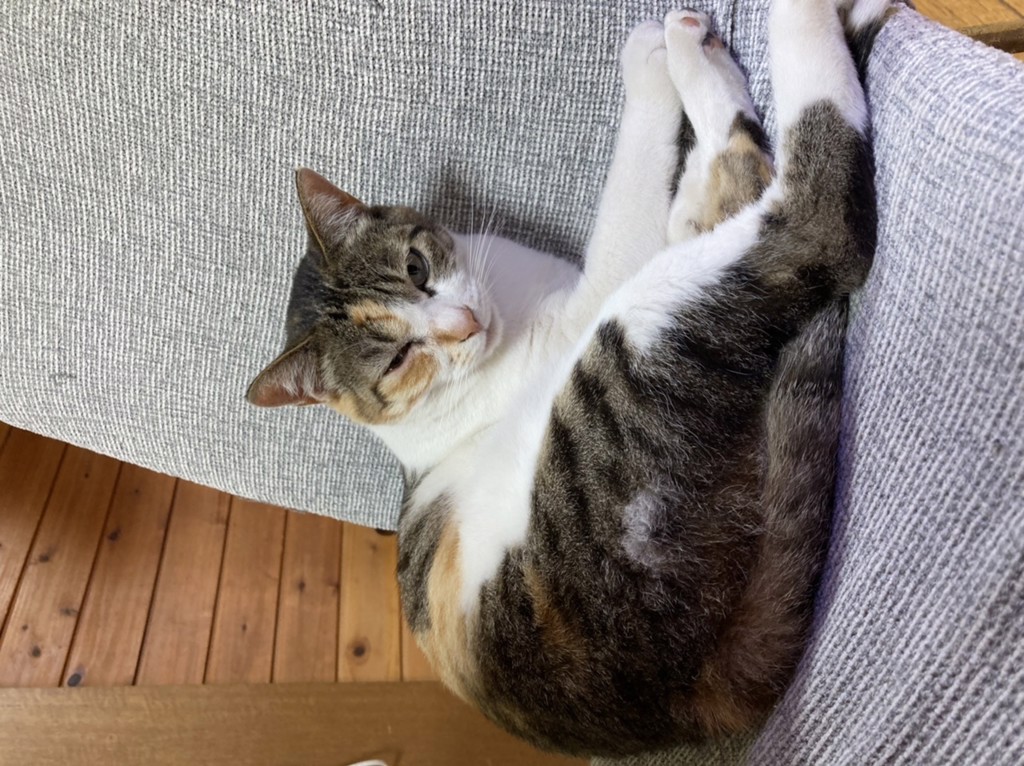 ふくすけ