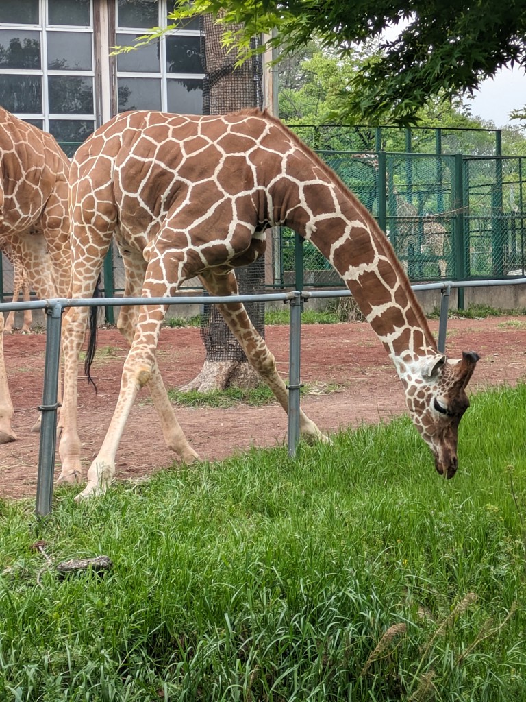 ユーザーアイコン