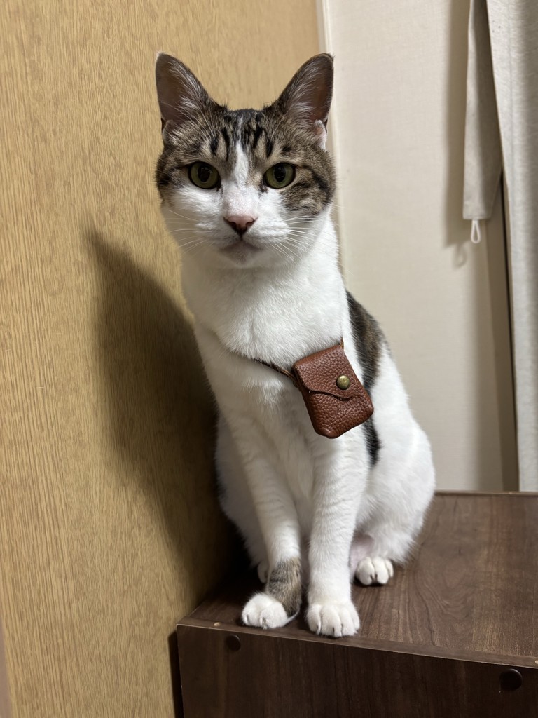 ユーザーアイコン