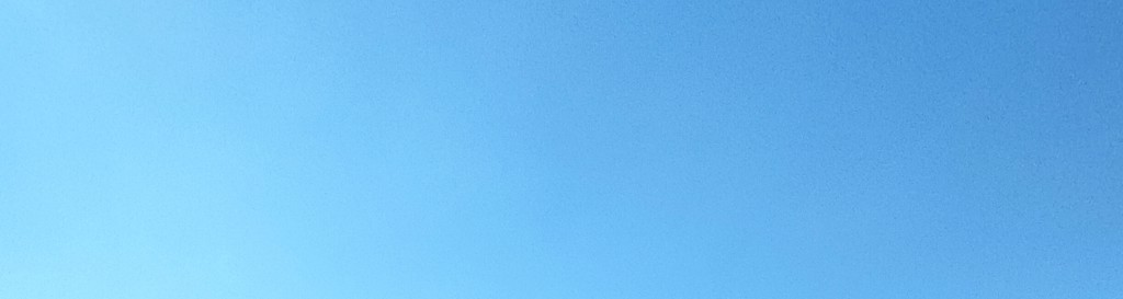 はな