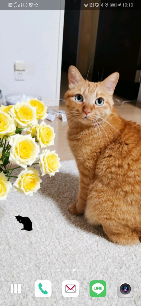 モモ