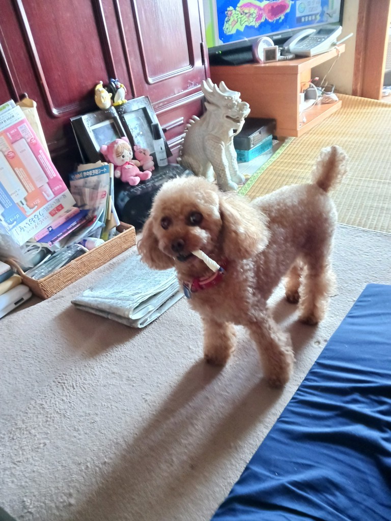 ラッセル