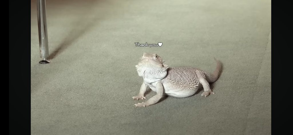 ぴどく