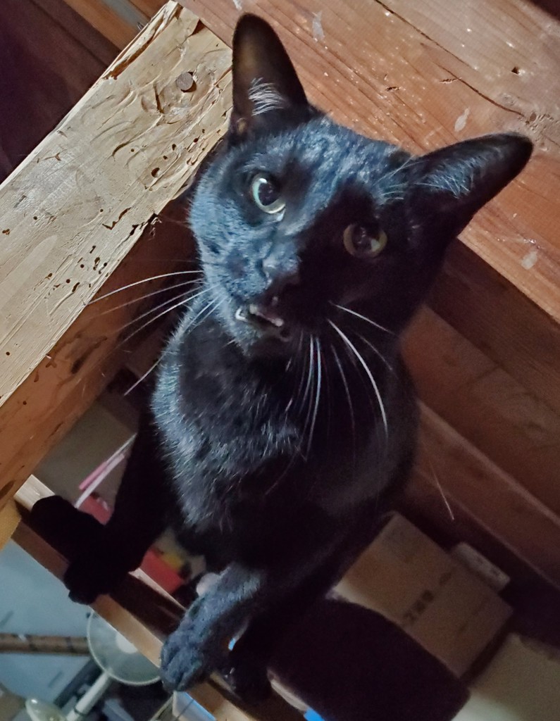 no name