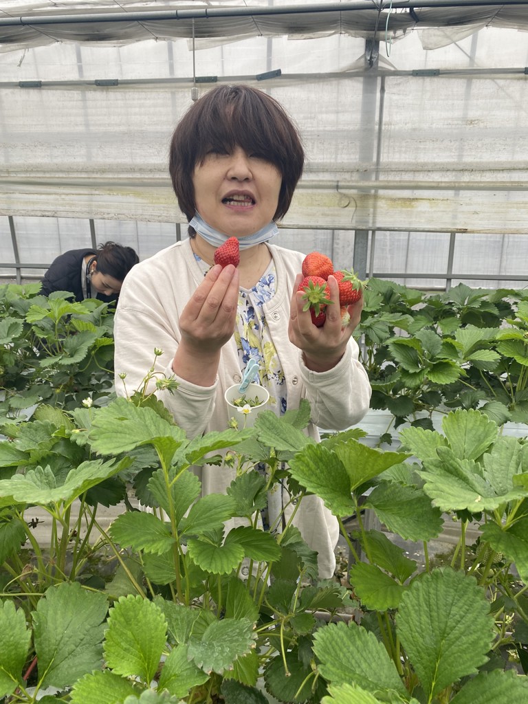 けい