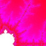 ブッククラブ会員限定】サイン本・皆川博子『開かせていただき光栄です