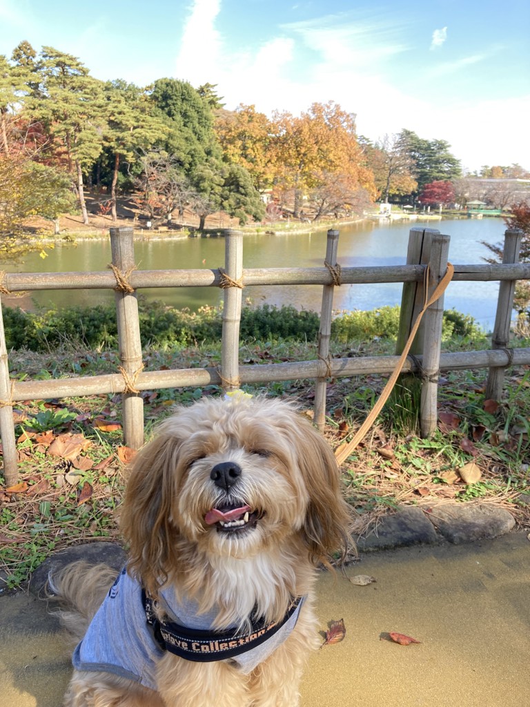 まめ