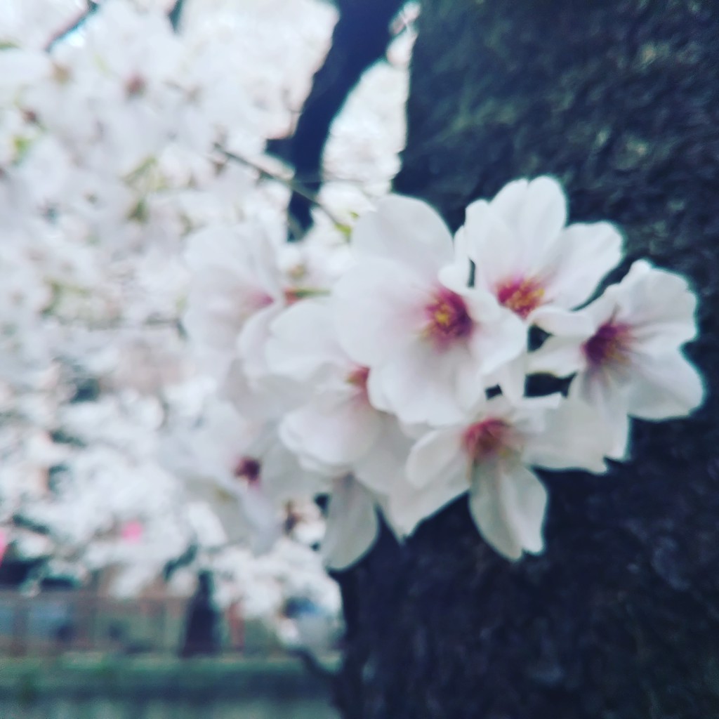 ミロ