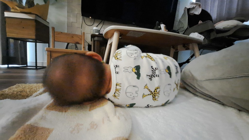 タテゴロウ。
