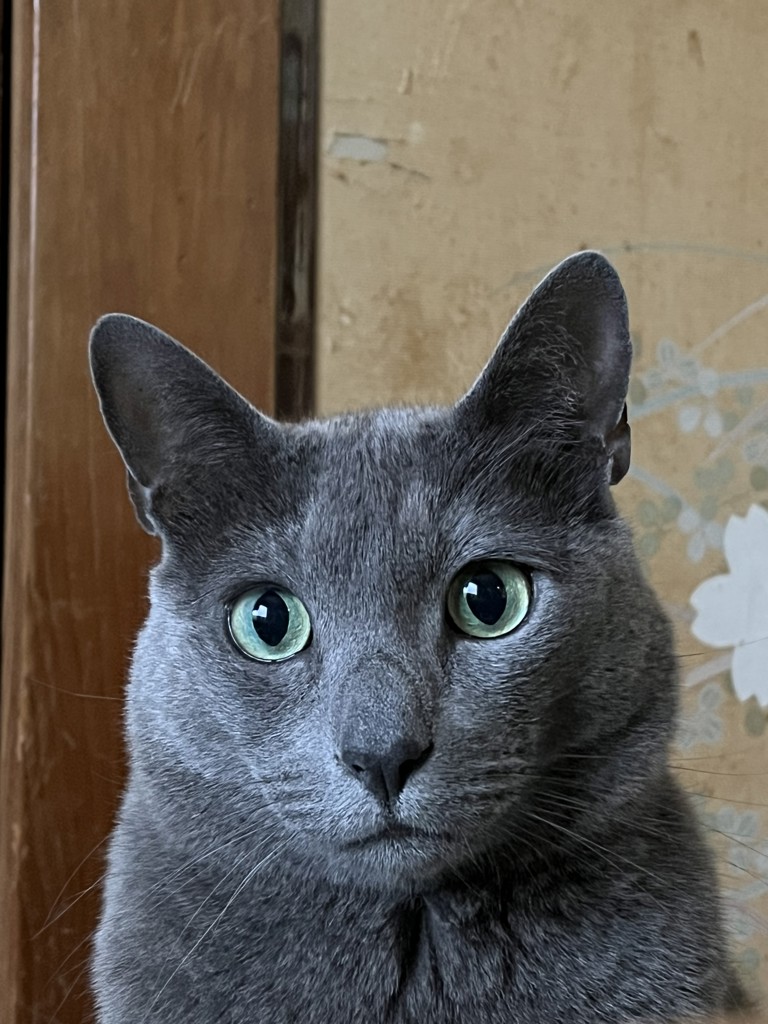 ユーザーアイコン