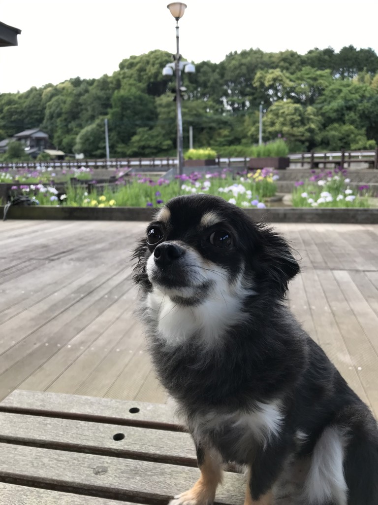 ハルさん