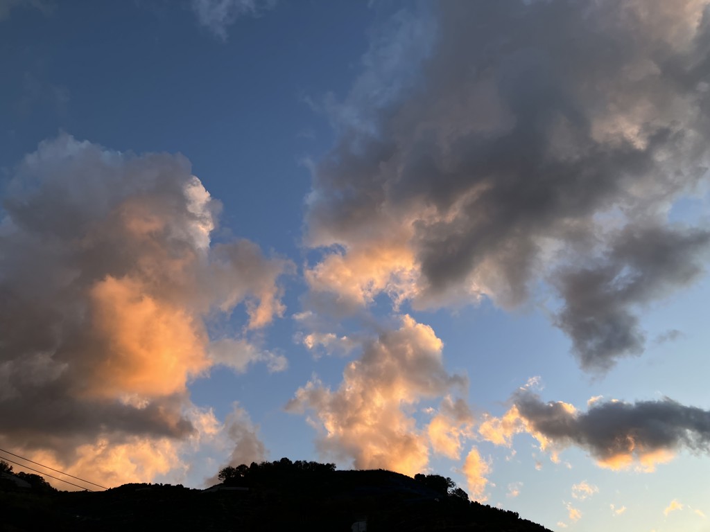 ユーザーアイコン