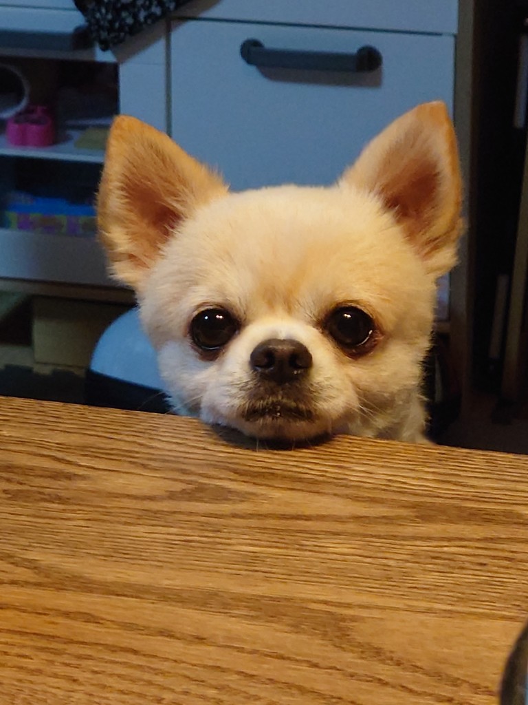 ひろ