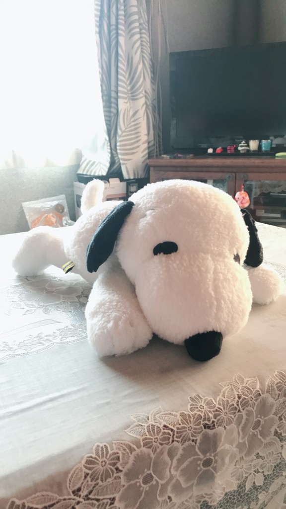 たけよう