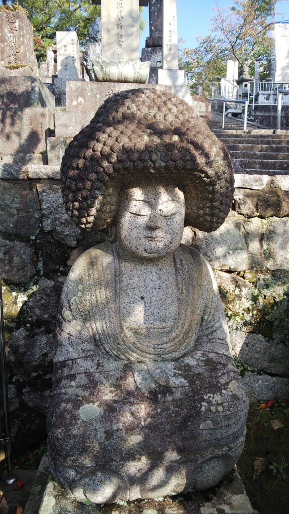 きのこのおにぎり