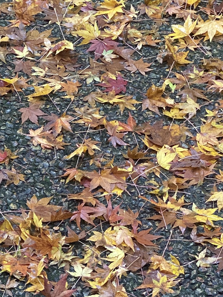 なよ