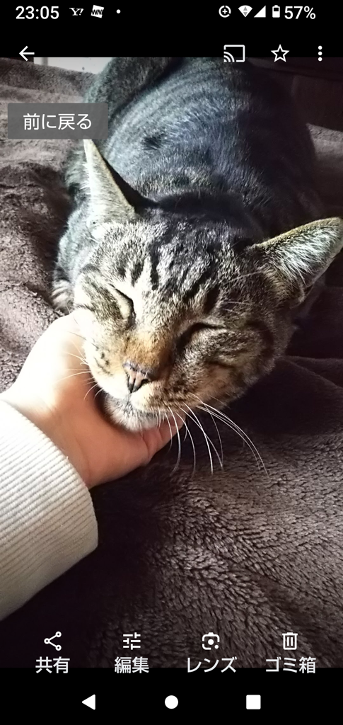 かず