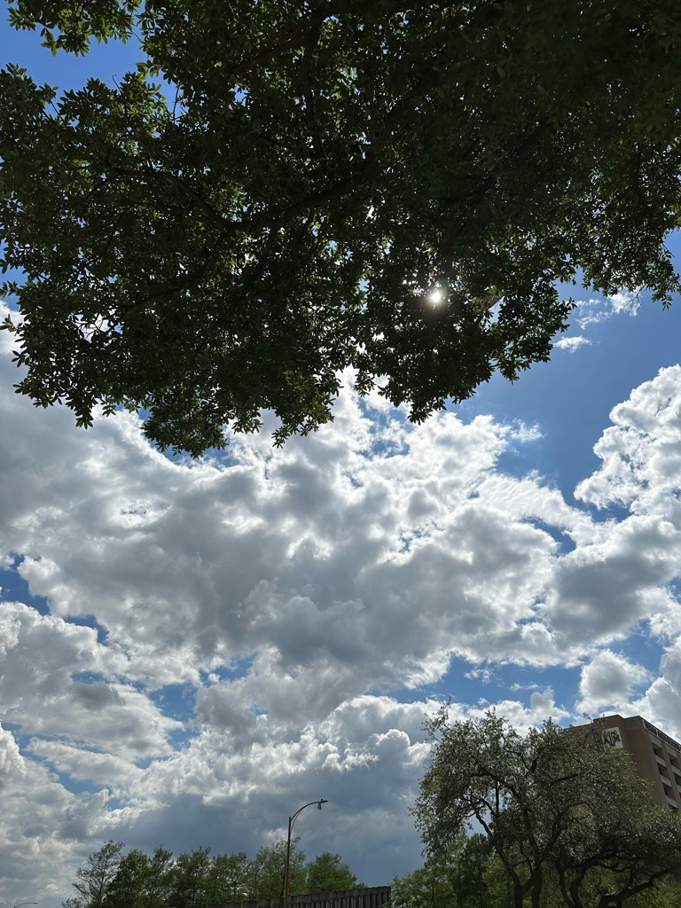 せい