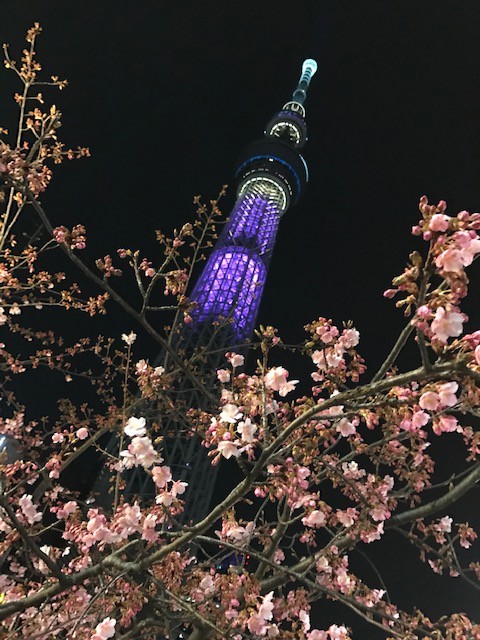 たまごタマゴ