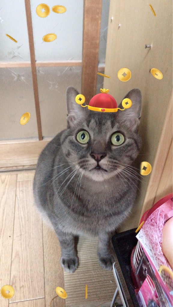 よっしー