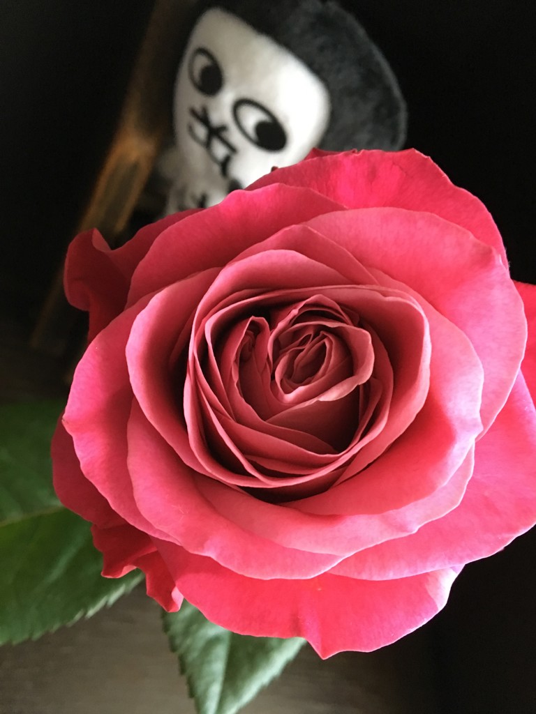 うたこ