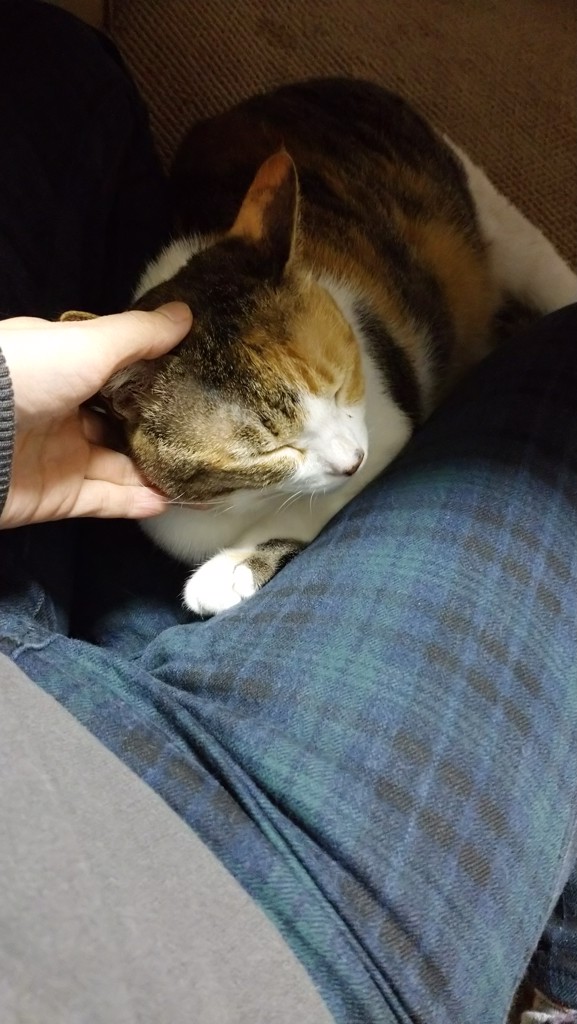 ほたる