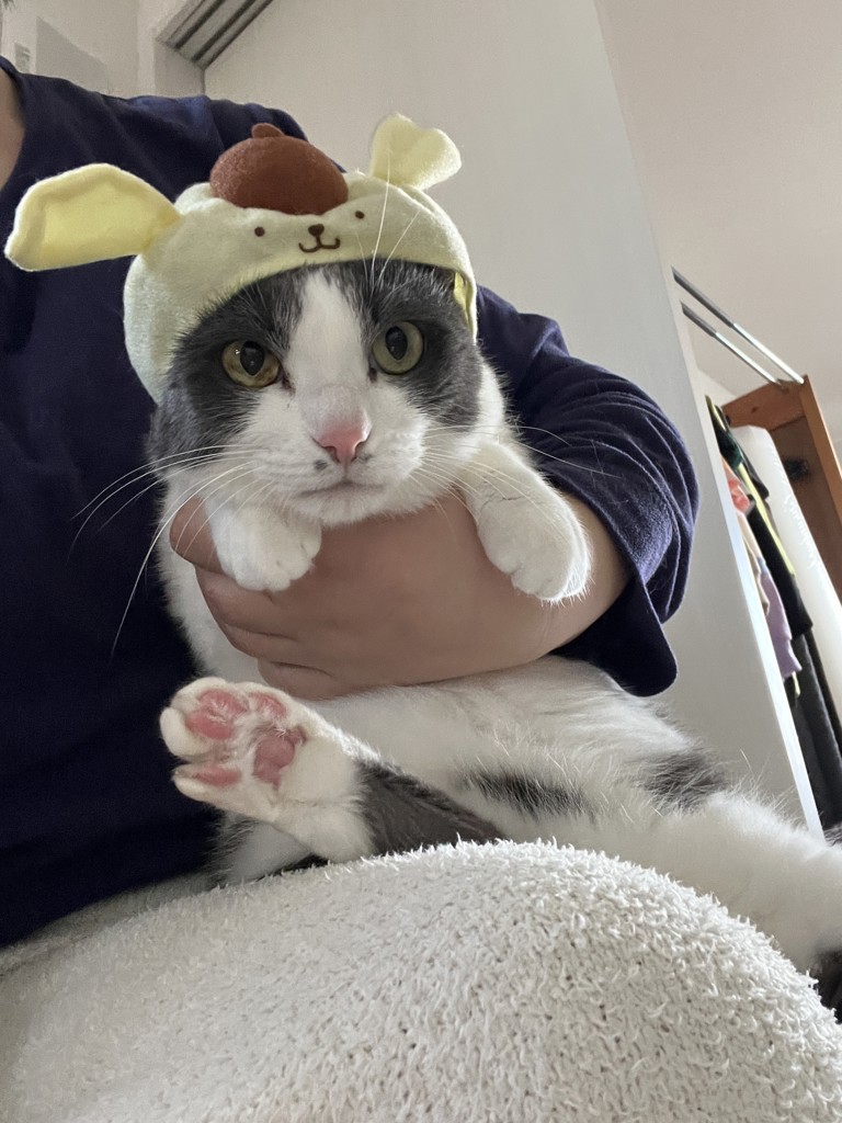 すんち