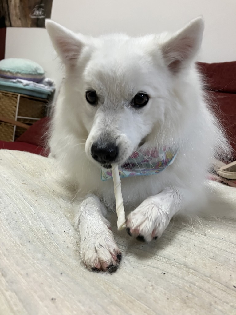ヤスコ