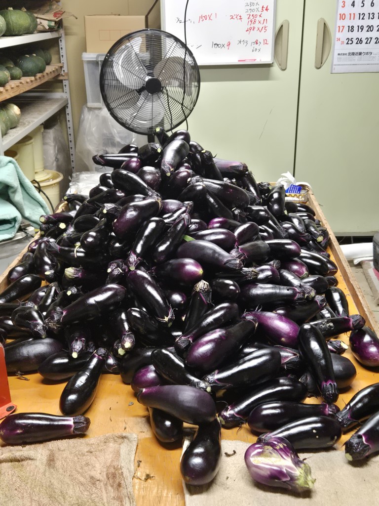 なす袋大(0.02mmX23cmX33cmX100枚 単品): 包装・販促資材
