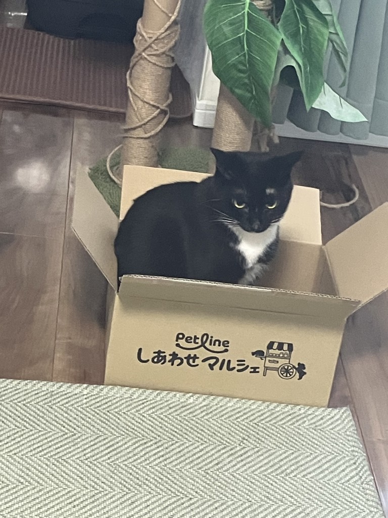 あいら