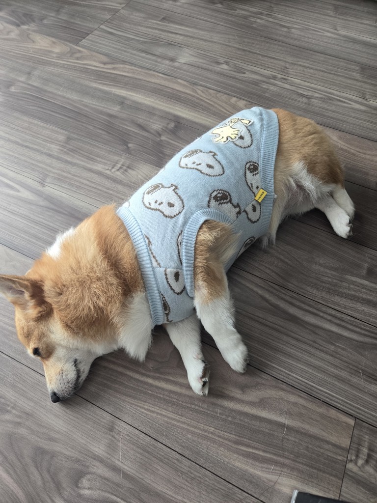まっちゃん