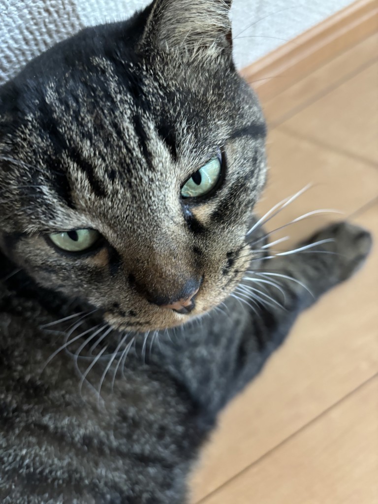 あお