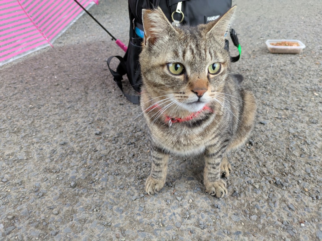 ユーザーアイコン