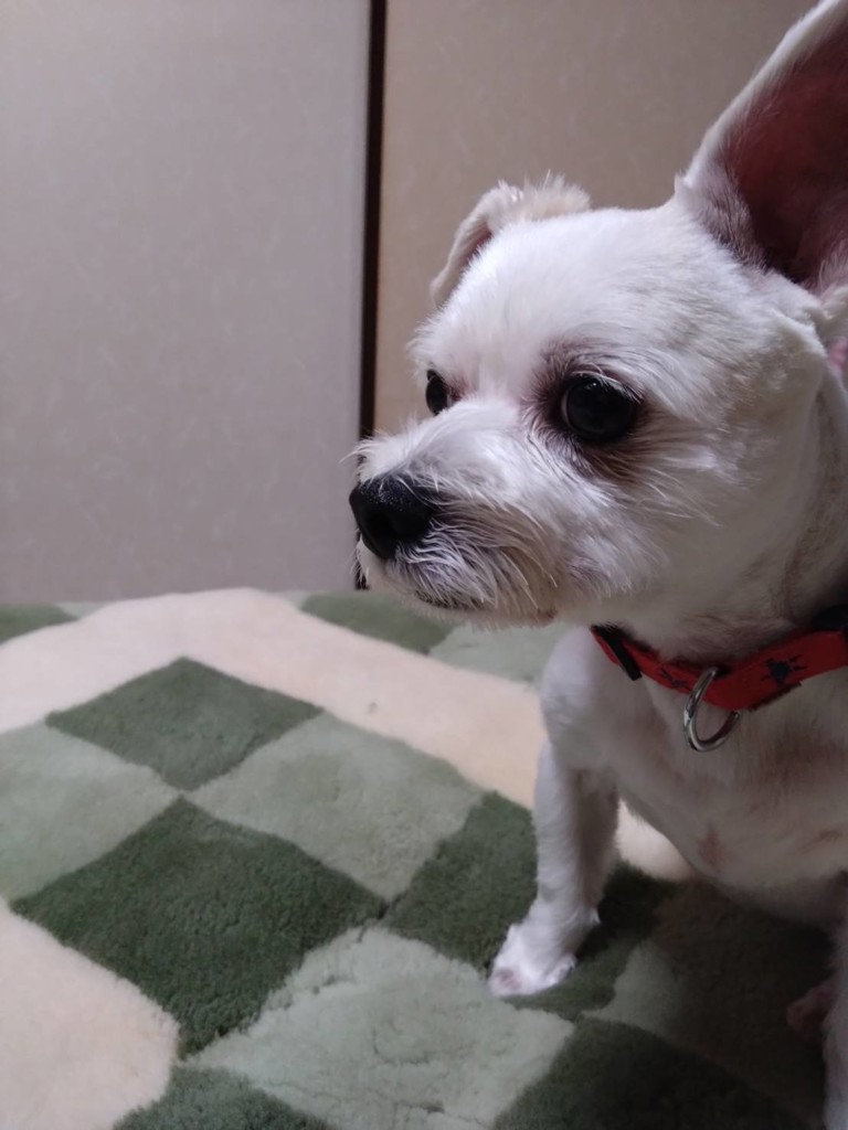 ユーザーアイコン