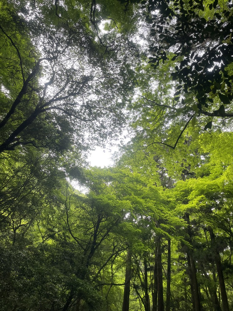 ユーザーアイコン