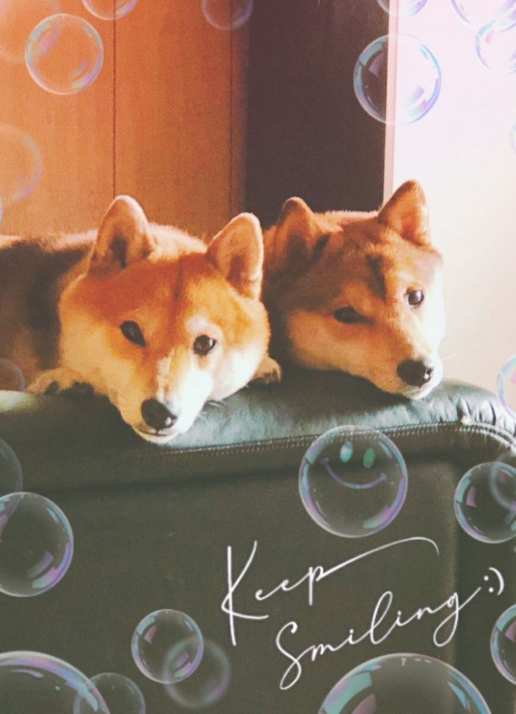 コロンビアマニア