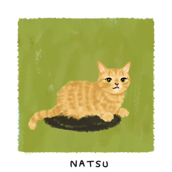 ちぃぽん