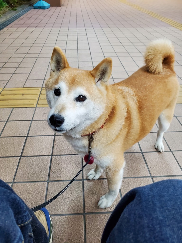 こなん