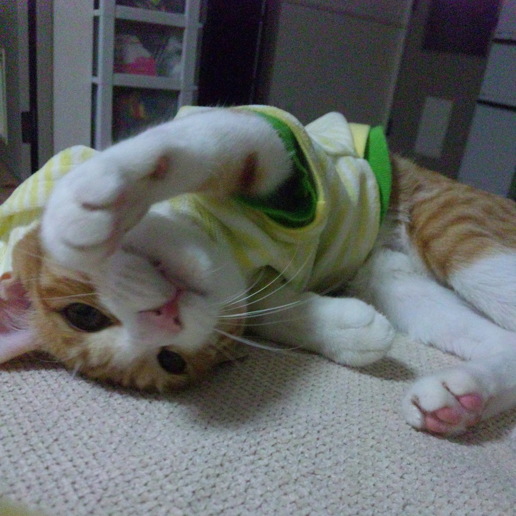 クーの母さん