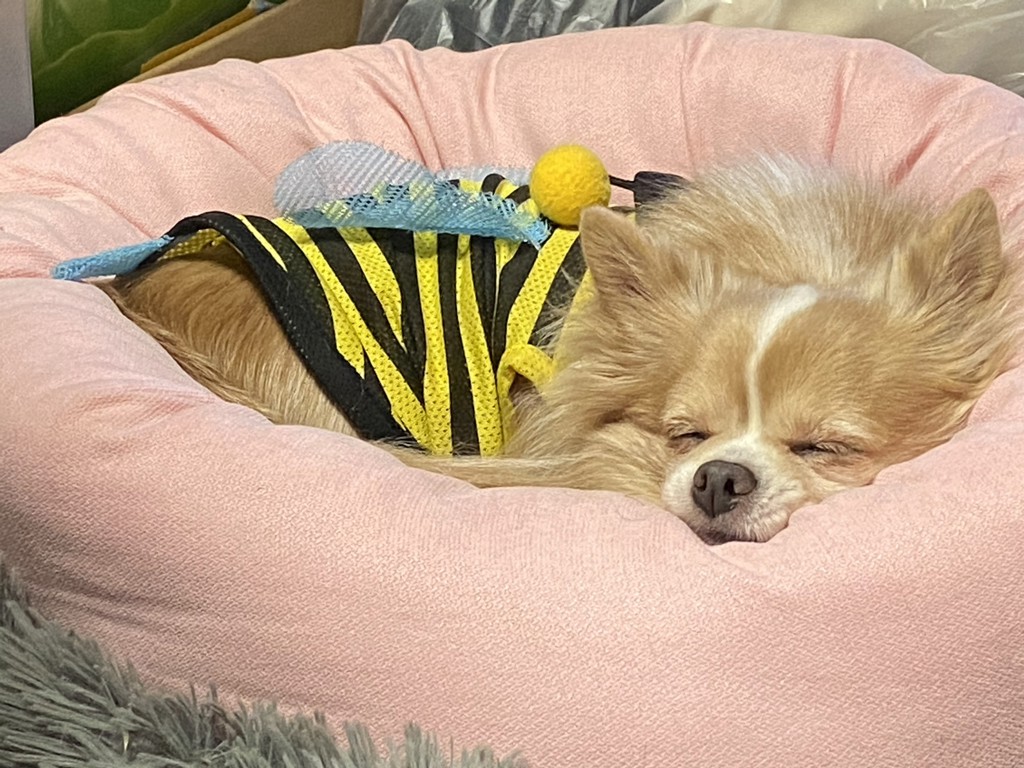 やすりん