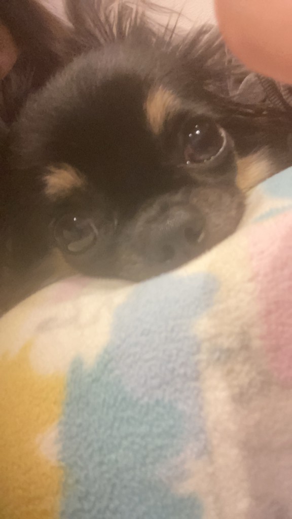 ミッキー
