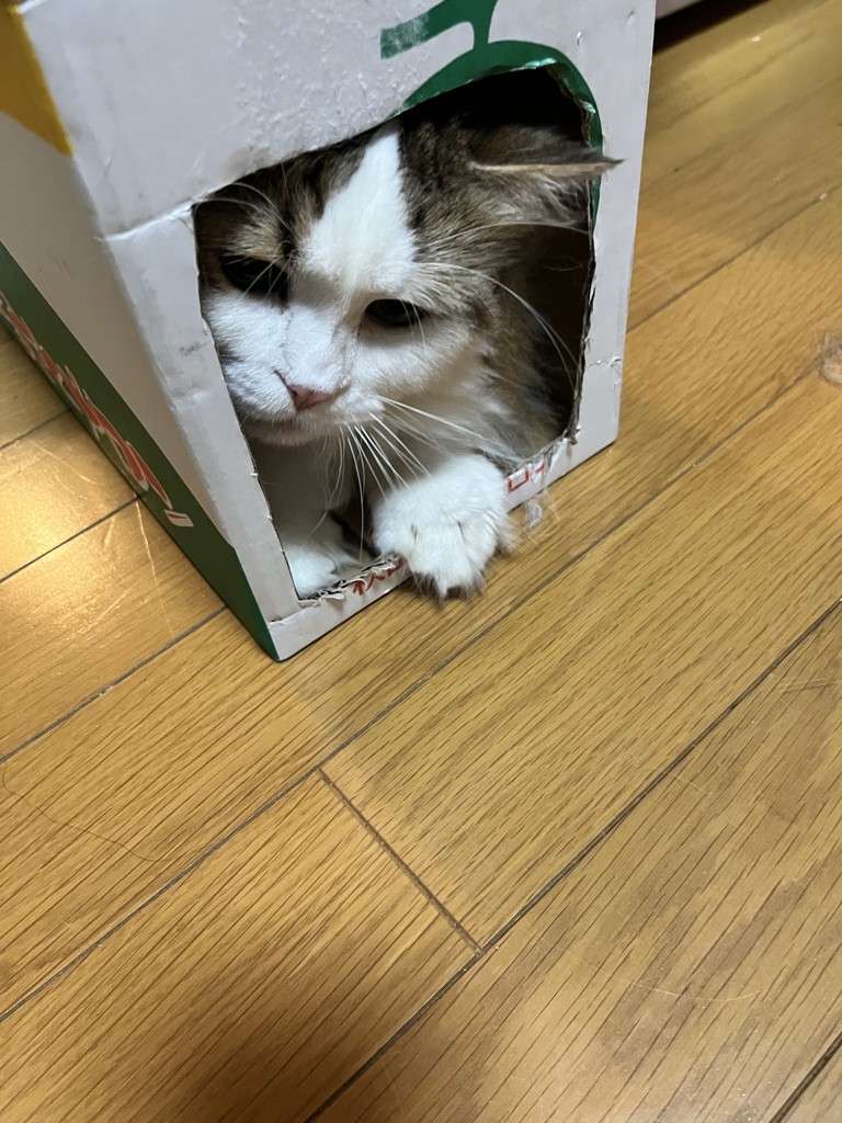 ちゃこ