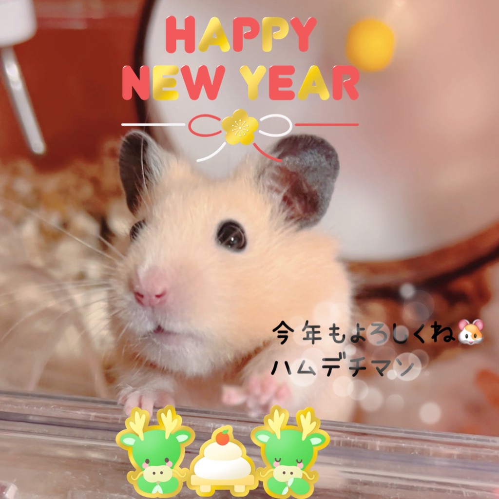 るるこ